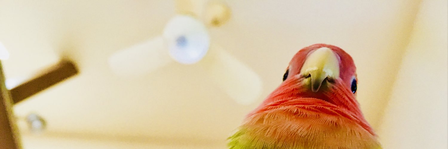 ppp8p8p's profile banner image