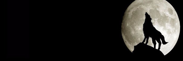 MstyMsb's profile banner image