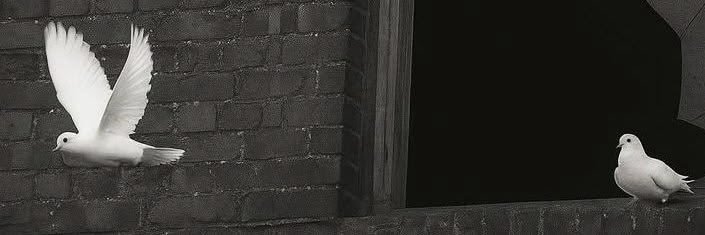غـيمه.. banner