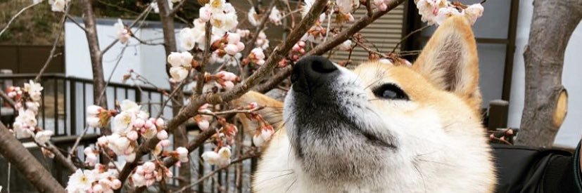 tk_no_k's profile banner image
