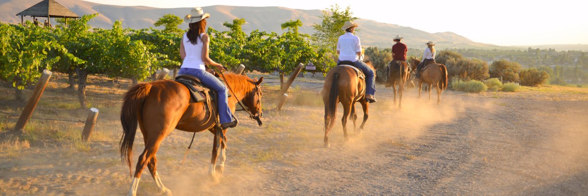 RedMtnTrails's profile banner image