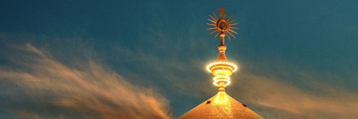 رؤیا سادات 🦢 banner