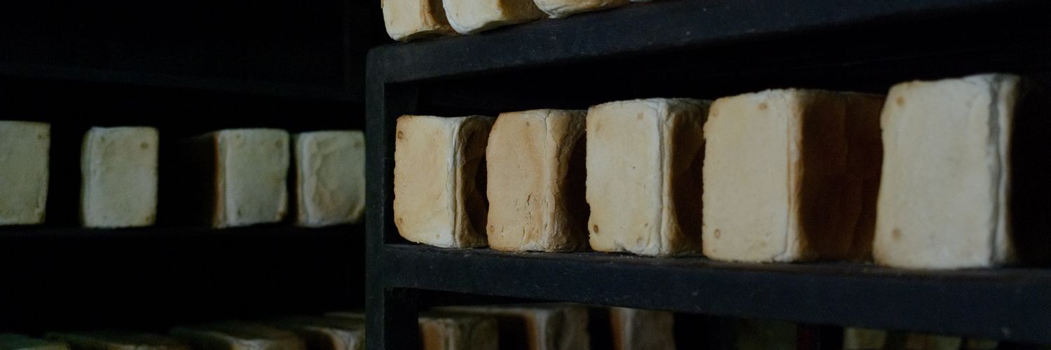 brainfabias's profile banner image