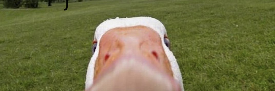 cargooo_'s profile banner image