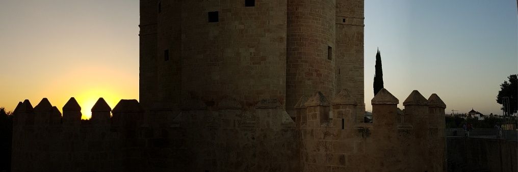 hermitShim's profile banner image