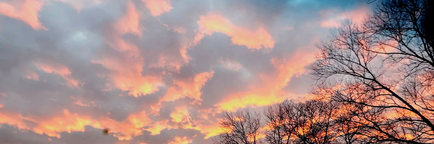 _jennasaurus's profile banner image