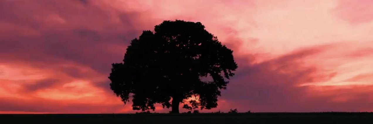 Miniwoni_me's profile banner image