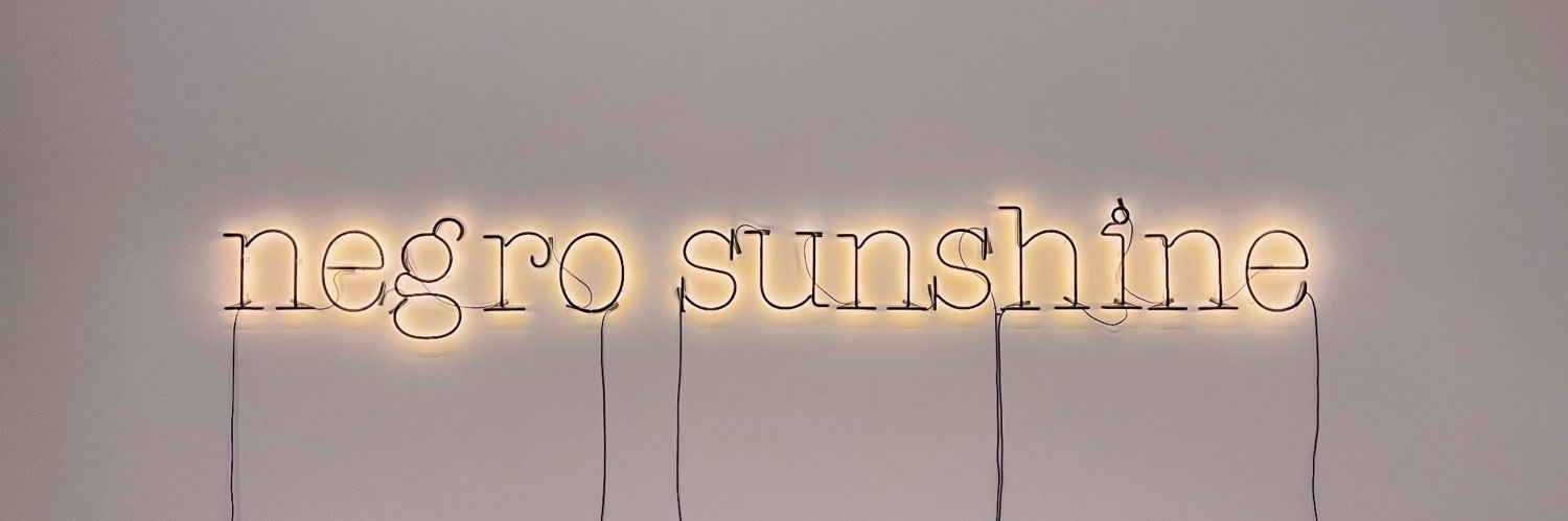 adanya johnson's banner