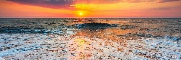 Eva banner