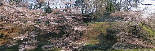 deliciousicecoffee banner