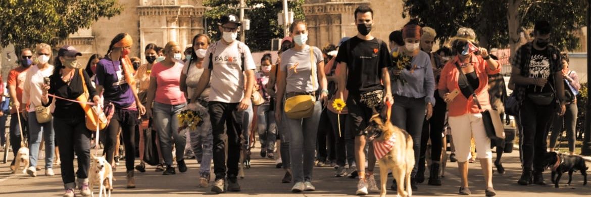 Filo𝕏iraptor banner