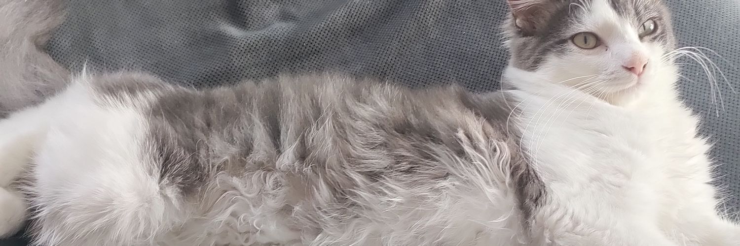 elleaam's profile banner image