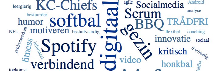 Patrick de Groot banner