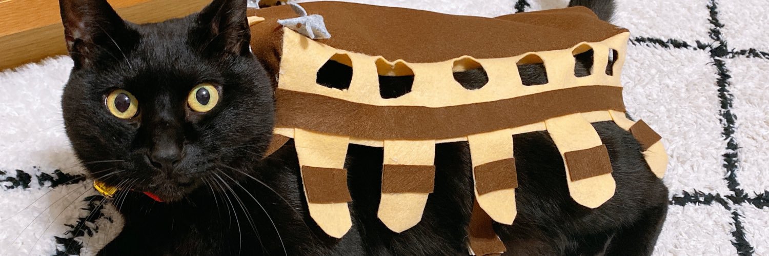 UKI_PERO's profile banner image