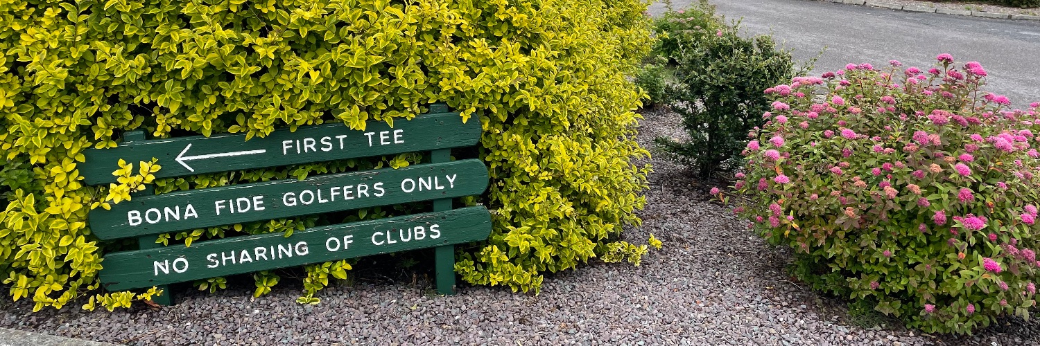 Taylor McCutcheon banner