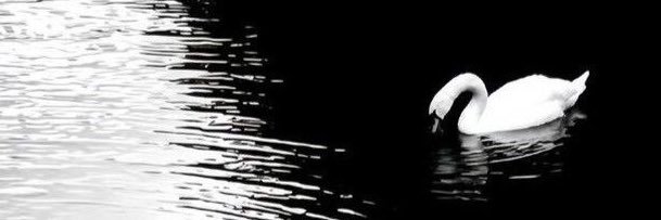 M banner