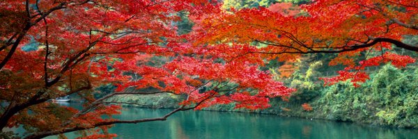 JapanEmbLUX Profile Banner