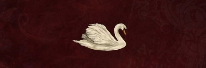 Elsherbiny___'s profile banner image