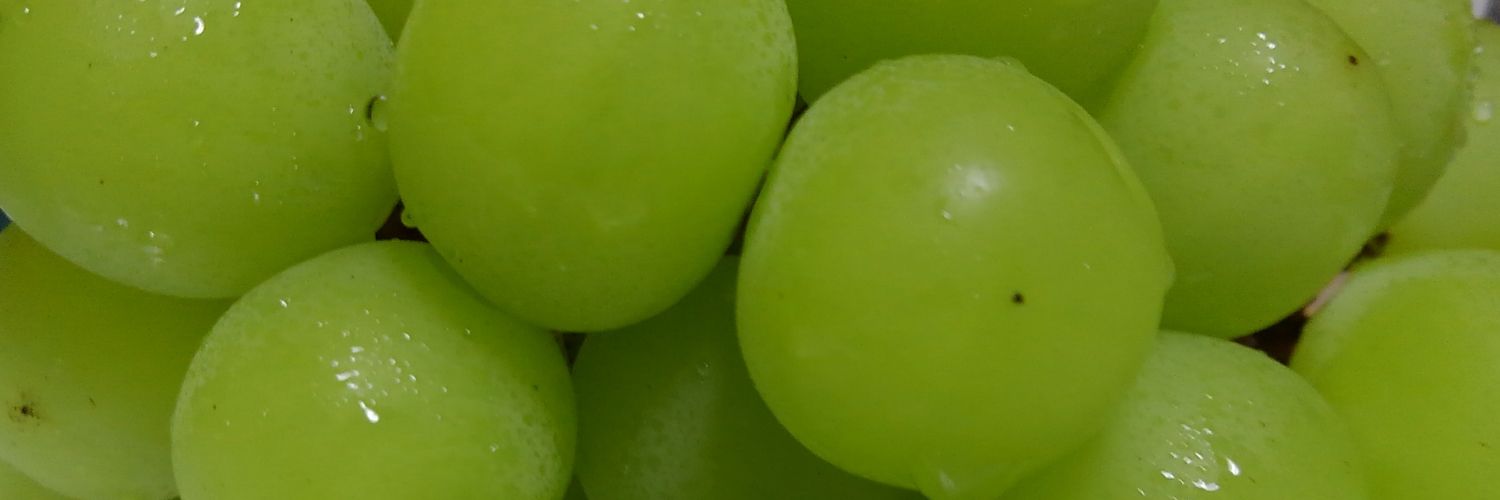 siokobu1's profile banner image