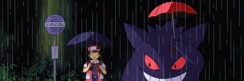 Rhyno banner