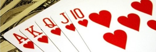 あざみっち🇮🇹街道踊子 banner