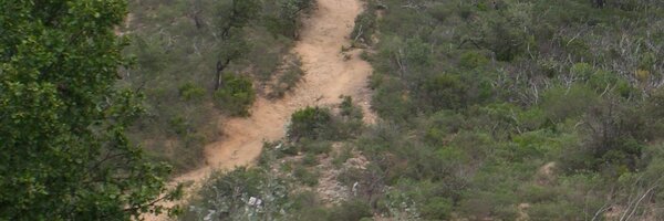 KurtVKB Profile Banner