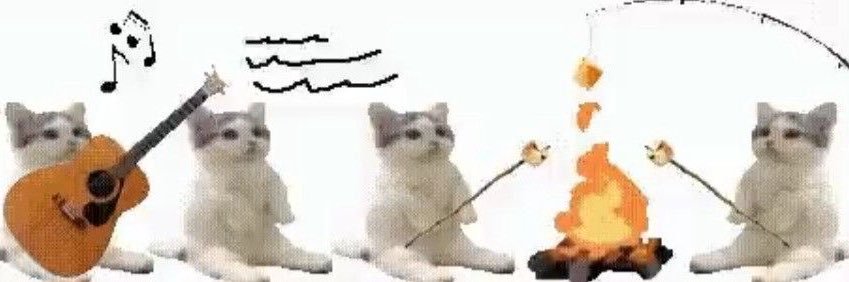 ⋆.˚✮ alma ✮˚.⋆ banner