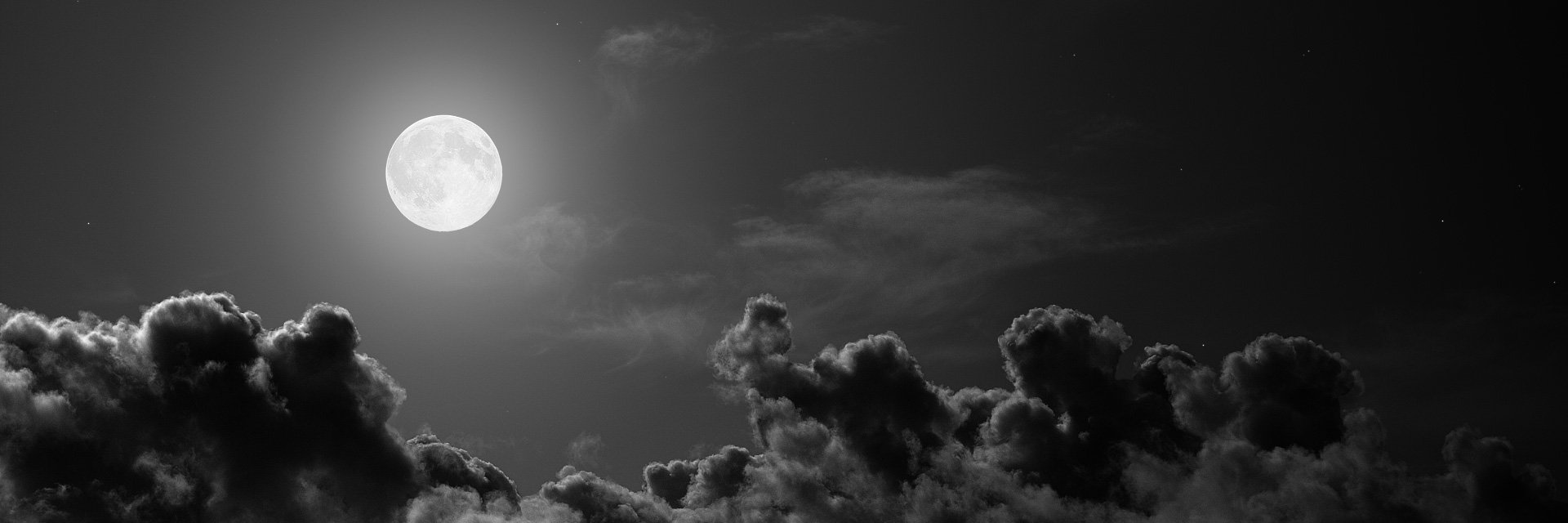 Sansa Snark Saiki (サアンサ) banner