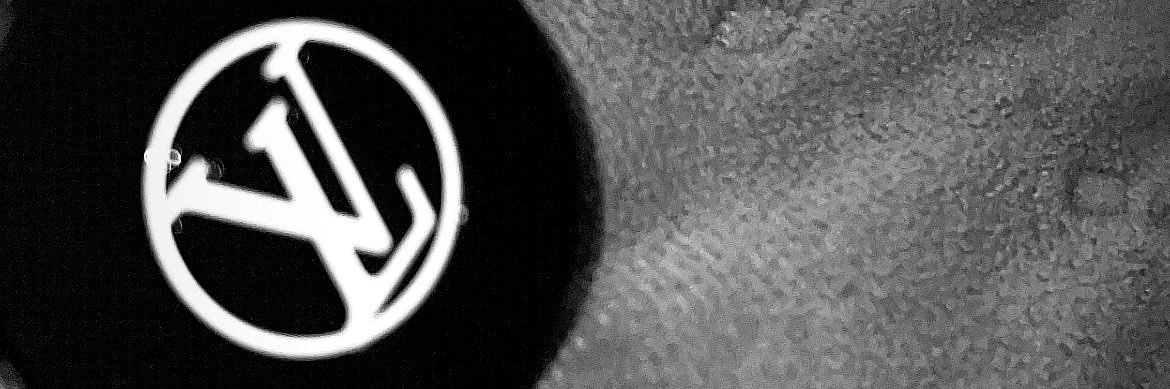 realsackchasin_ banner