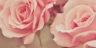 alinaderebeeva's profile banner image