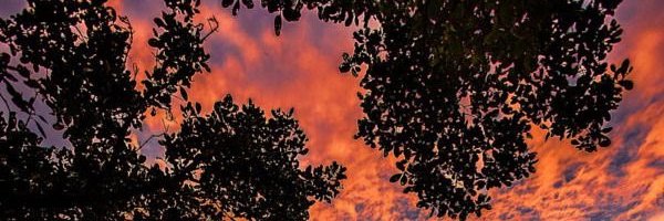 mchizik's profile banner image