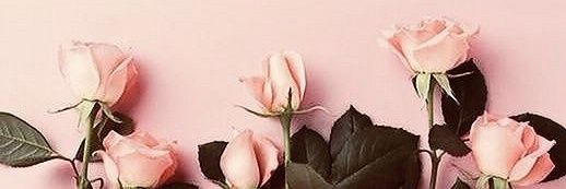 anna_maas_'s profile banner image