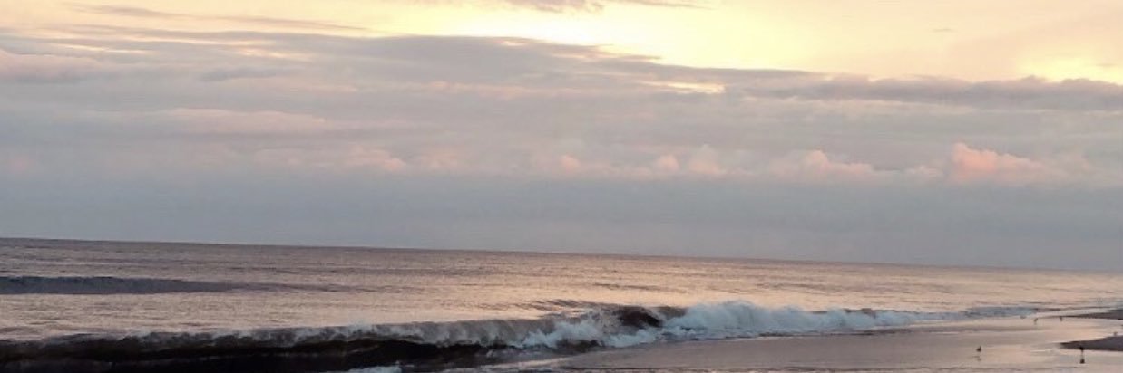 DelaneyLippa's profile banner image