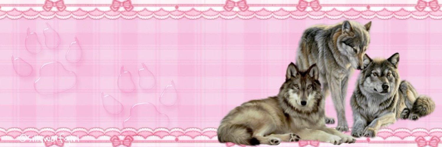 𝐴𝑛𝑔𝑒𝑙 ⋆˚✿˖°'s banner