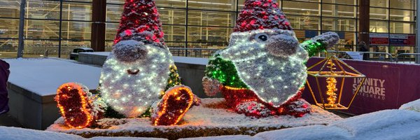 TrinitySqGH Profile Banner