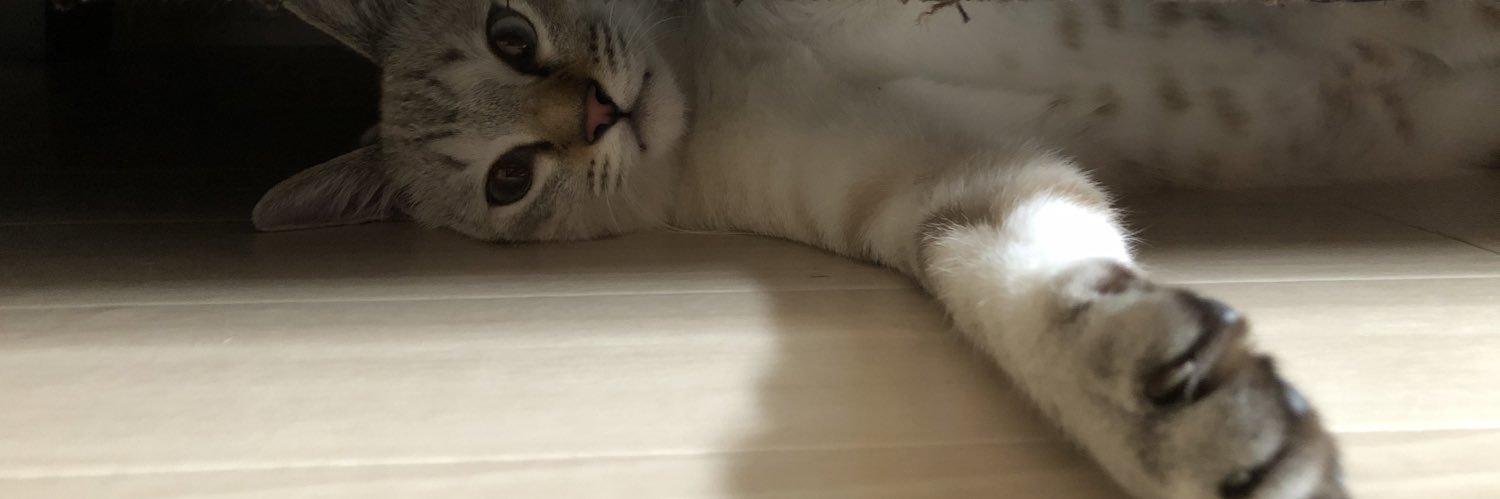 illllli87's profile banner image