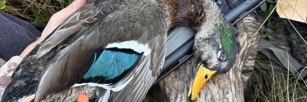 Mason_Will06 Profile Banner