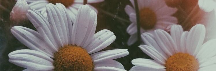 miliruiz16's profile banner image