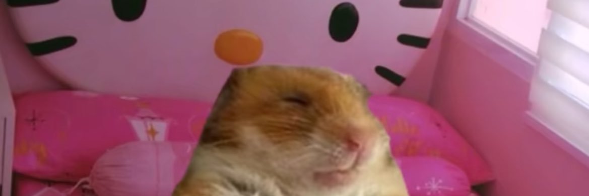 Eriv's profile banner image