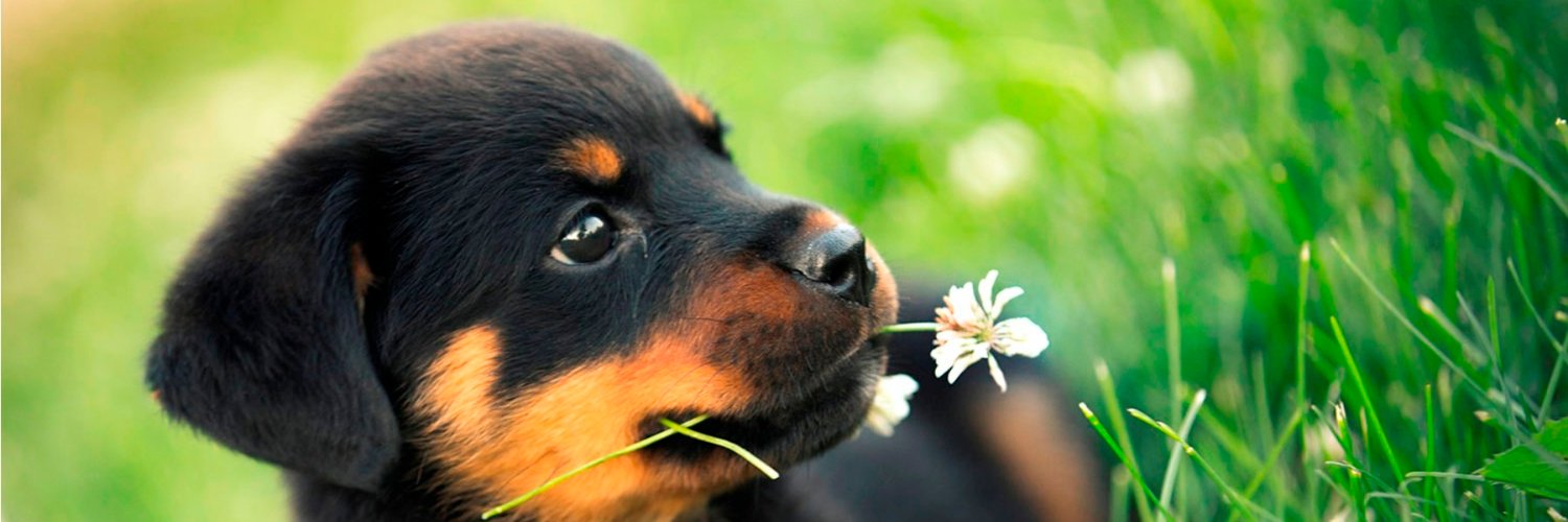 muthunithiin's profile banner image