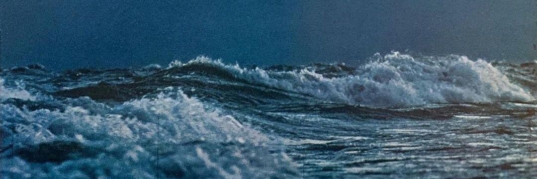 puretirik's profile banner image