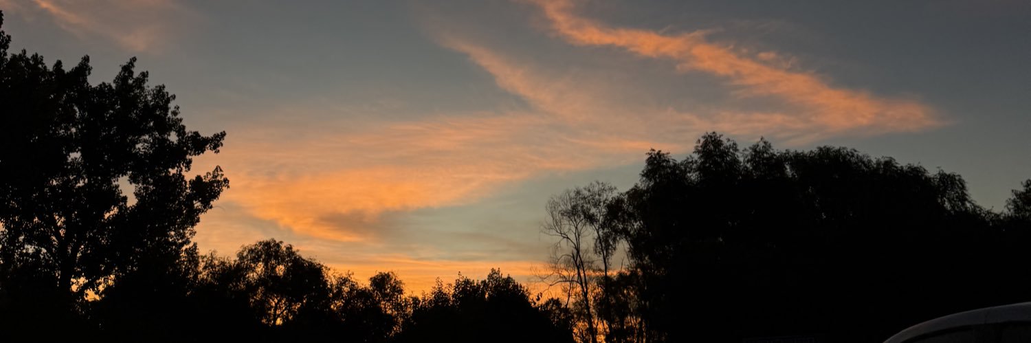 Mikaltimari's profile banner image