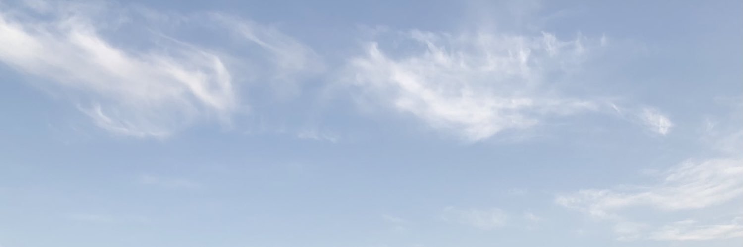 🌺 banner