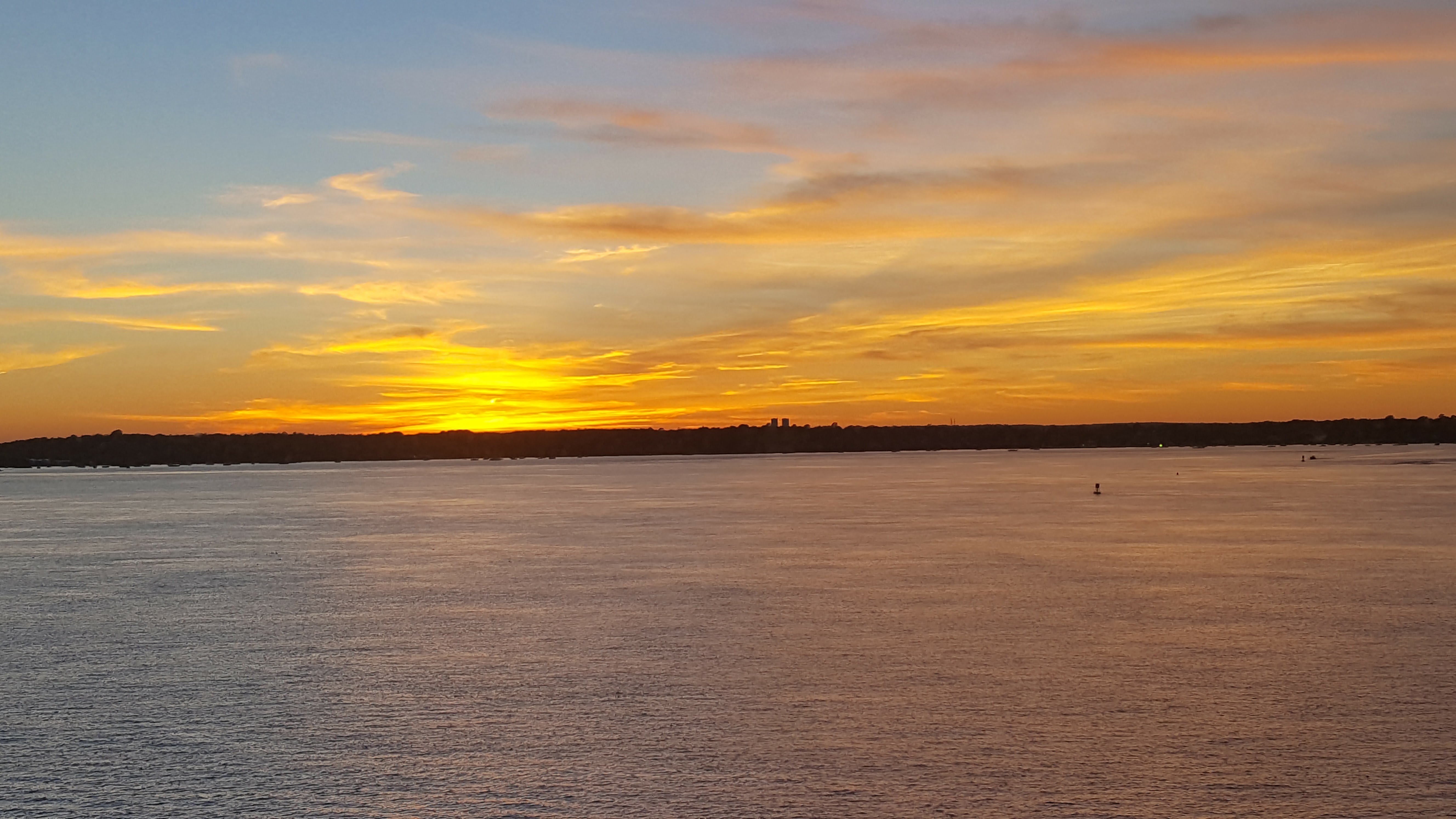 Dr. Nina Huntemann ➡️ @ninabeth@mastodon.social banner