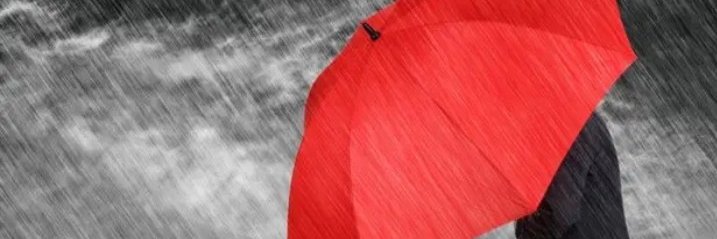 janesbeatriz's profile banner image