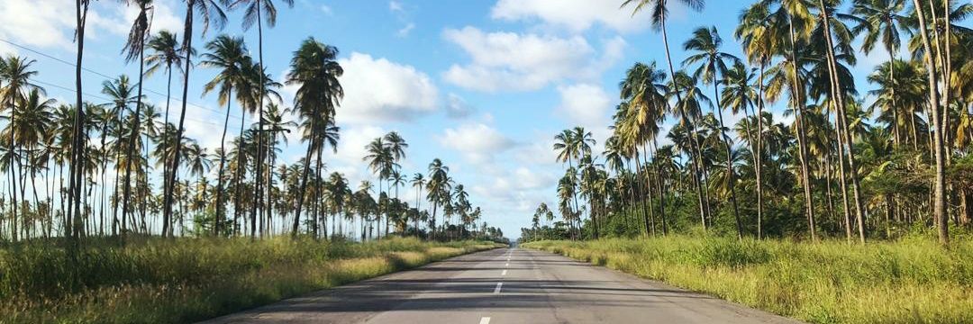 Oswaldo Theis Jr. banner