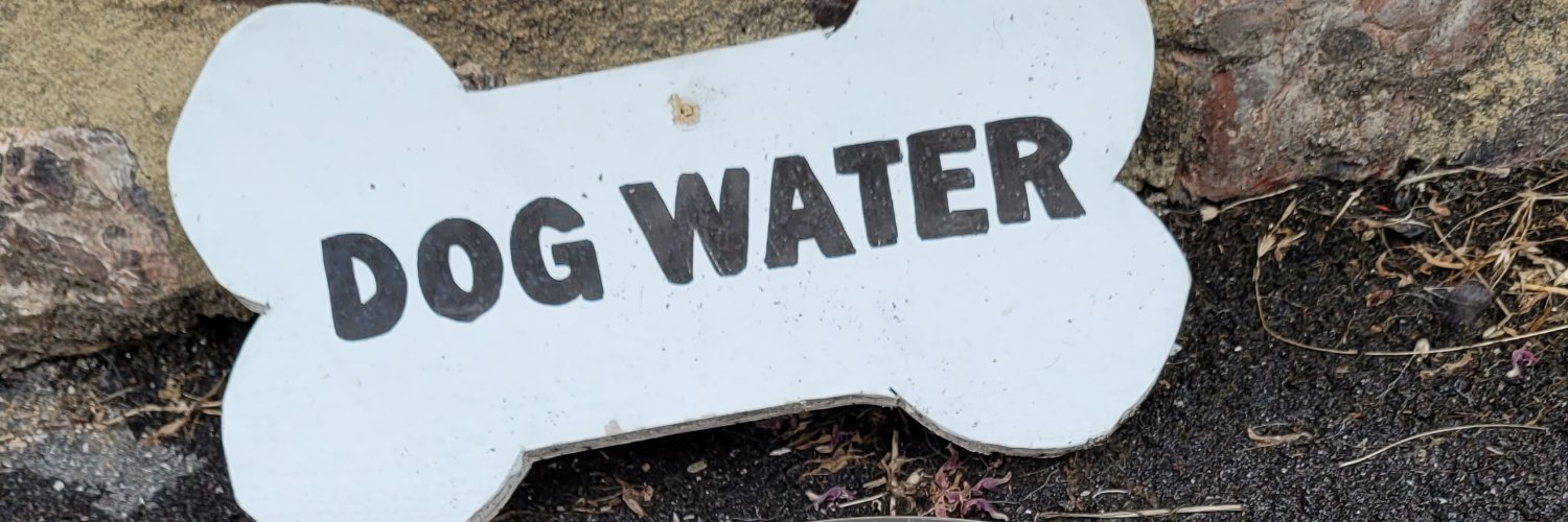 Water for Street Dogs banner