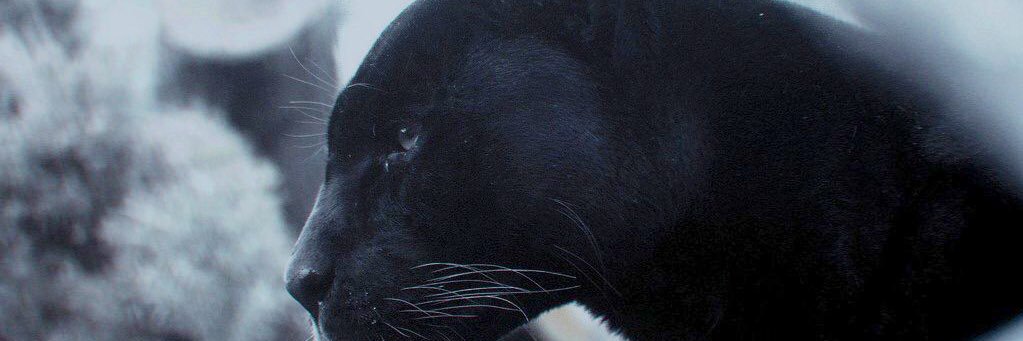 KevSakoane's profile banner image
