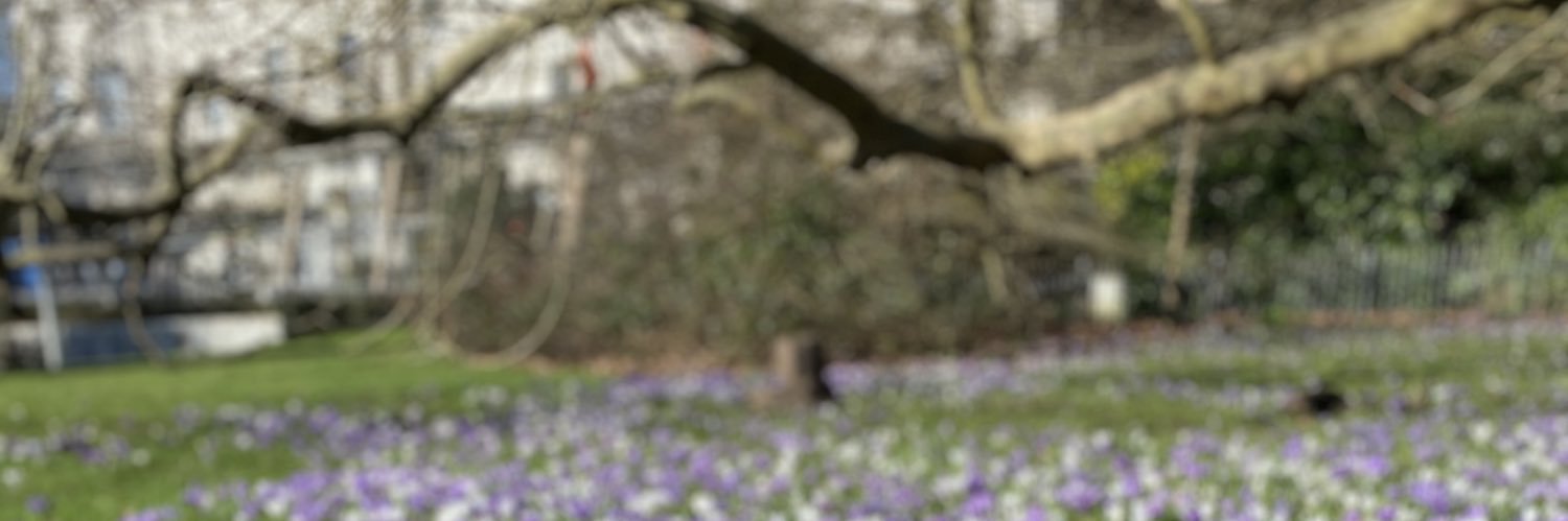 A_Rob_263's profile banner image