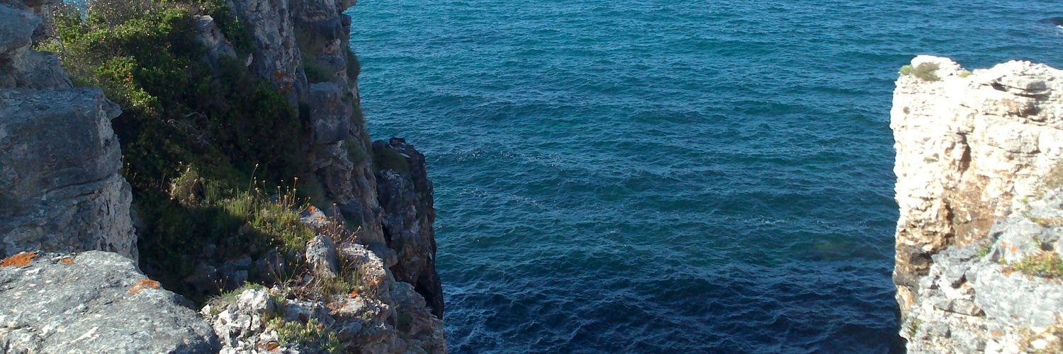 inciblue's profile banner image